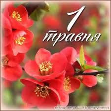 1 травня, червоні квіти на дереві