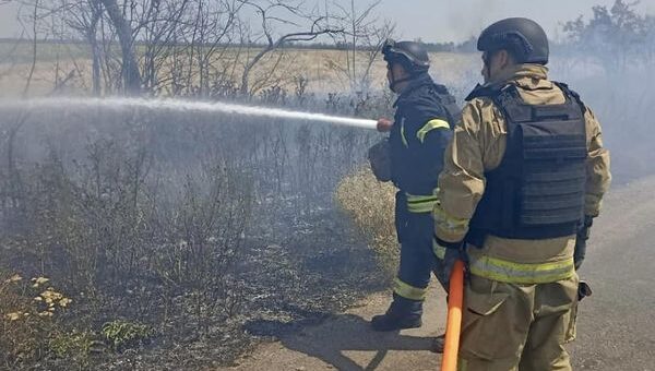 25,5 гектарів екосистем гасили рятувальники Херсонщини минулої доби!