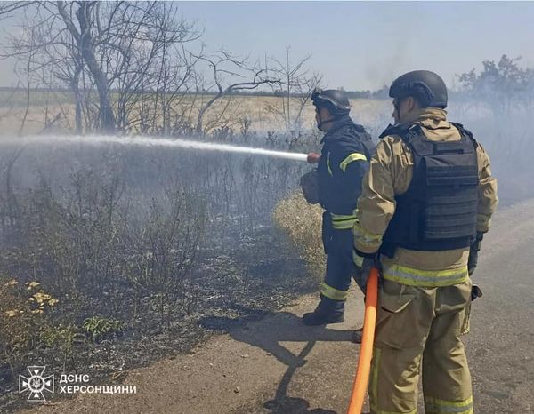 25,5 гектарів екосистем гасили рятувальники Херсонщини минулої доби!