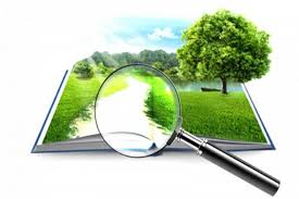 ПОВІДОМЛЕННЯ про плановану діяльність, яка підлягає оцінці впливу на довкілля