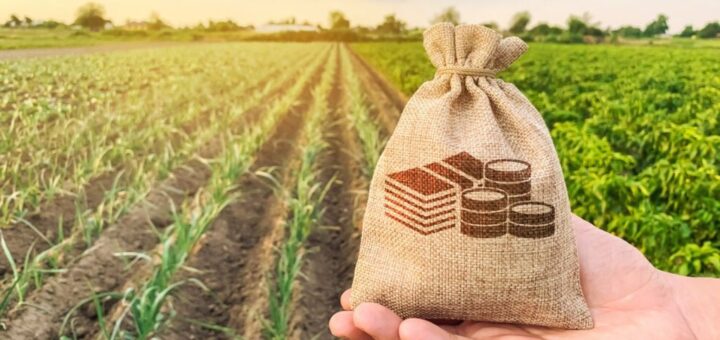 Про індексацію нормативної грошової оцінки земель за 2024 рік