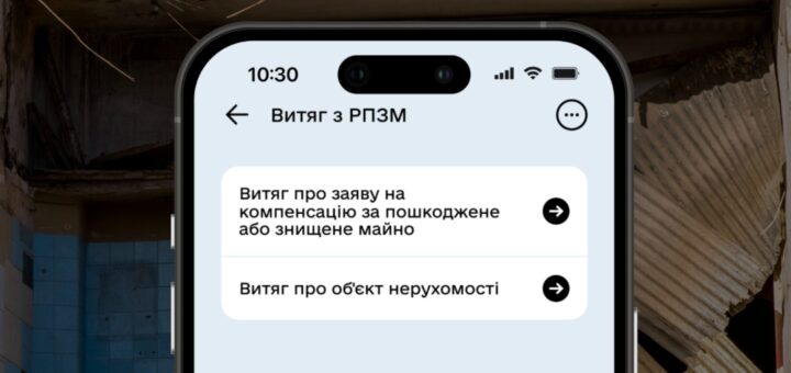 Витяг з Реєстру пошкодженого та знищеного майна в Дії