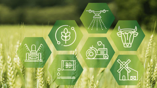 На ілюстрації зображено поле пшениці на тлі розмитого горизонту. Поверх зображення накладені сім зелених шестикутників із білими значками, що представляють різні аспекти сільського господарства. Серед них: комбайн, рослина із стрілками, які позначають цикл росту, система зрошування, голова корови, трактор, рослина із краплею води (можливо, вказує на полив або удобрення), а також комора з вітряком.
