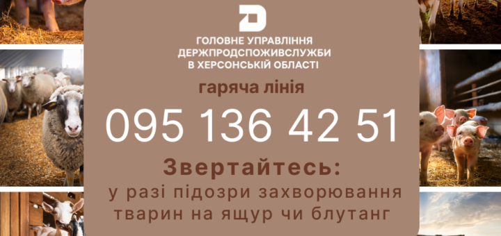 На Херсонщині створено «гарячу лінію» для повідомлення про захворювання тварин на ящур та блутанг