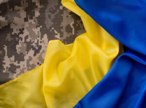 На зображенні показано камуфляжну тканину, частково накриту жовто-синім прапором. Камуфляжний візерунок складається з цифрового малюнка – поширеного у військовій формі. Жовто-синя тканина, що покриває камуфляж, нагадує прапор України