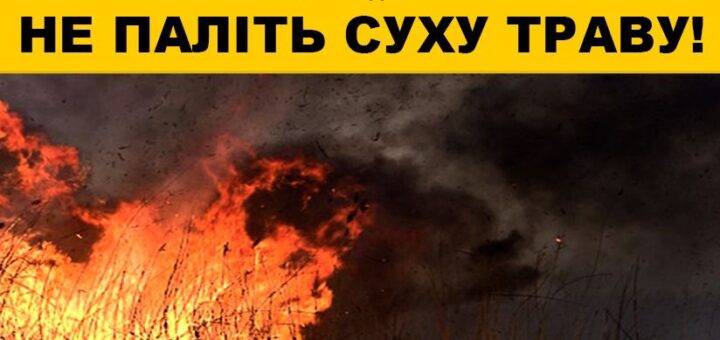 На зображенні показано пожежу, де горить суха трава, а над нею піднімається темний дим. У верхній частині розміщено попереджувальний напис українською мовою: "ХЕРСОНСЬКЕ РАЙОННЕ УПРАВЛІННЯ ГУ ДСНС УКРАЇНИ У ХЕРСОНСЬКІЙ ОБЛАСТІ ПОПЕРЕДЖАЄ!!! НЕ ПАЛІТЬ СУХУ ТРАВУ!"