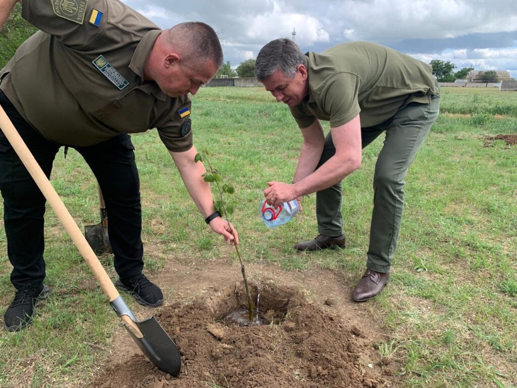 Михайло Линецький та Андрій Сидоренко саджають в землю саджанець липи