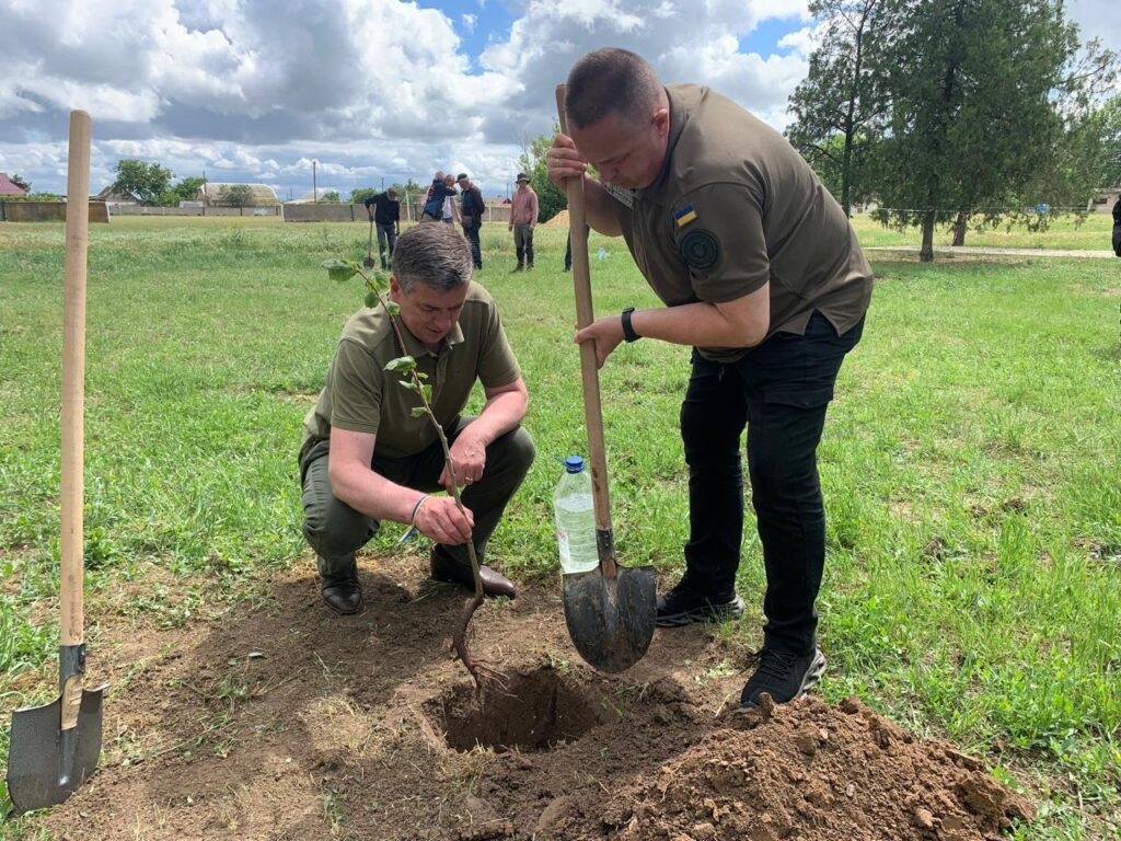 Михайло Линецький та Андрій Сидоренко саджають в землю саджанець липи