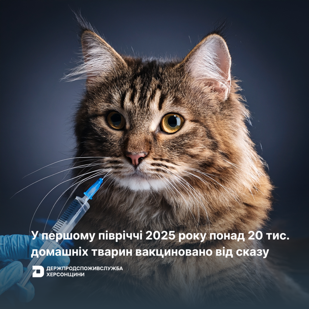 Знімок ілюструє тему щеплення тварин для профілактики сказу