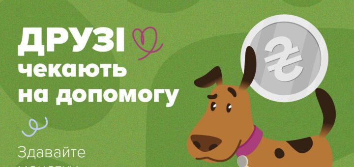 У такі складні часи важливо триматися разом і дбати одне про одного. Через війну сотні тварин втрачають свій дім і домашнє тепло. І кожен із нас може простягнути їм руку допомоги, бо кожне життя — безцінне