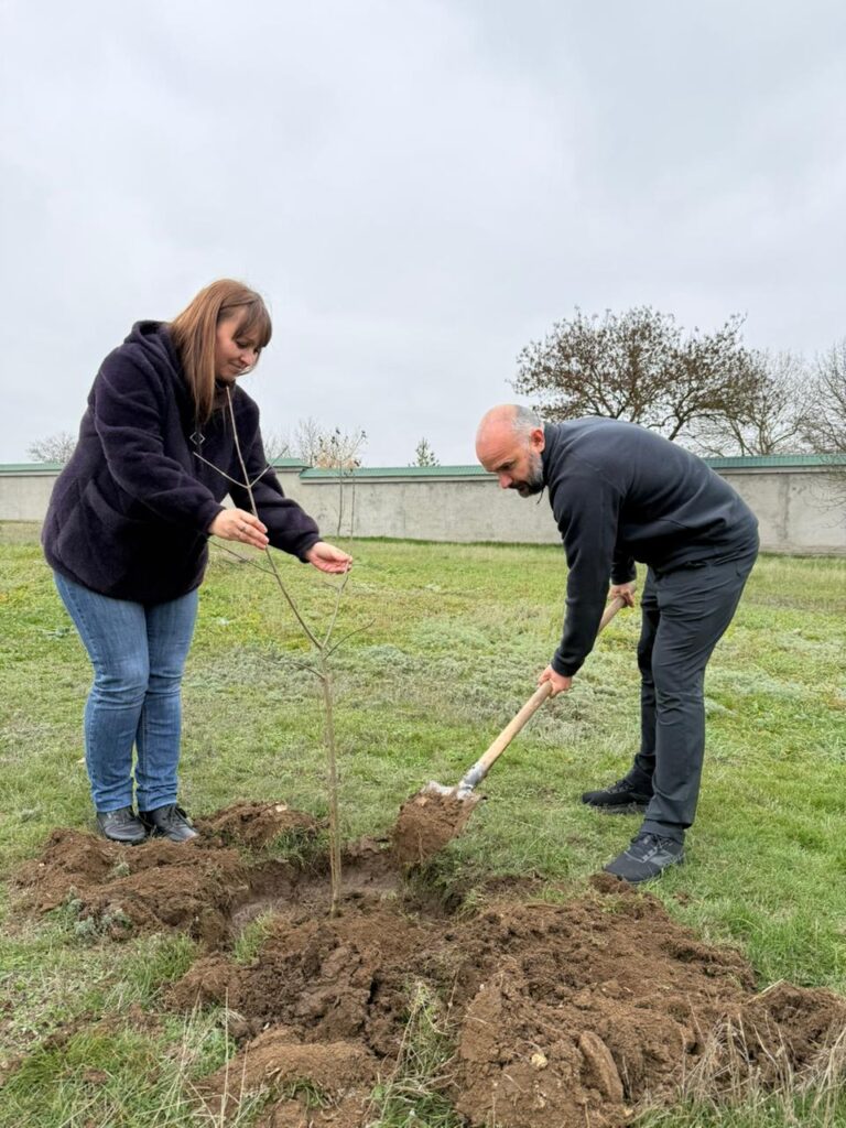 Юліан Лучко та жінка у темній куртці саджають дерево