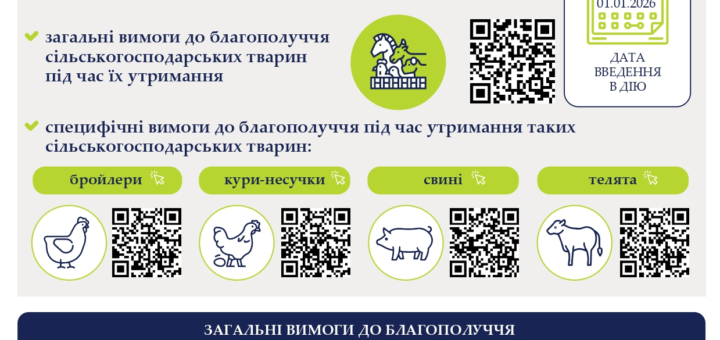 Діють нові вимоги до благополуччя сільськогосподарських тварин під час їх утримання