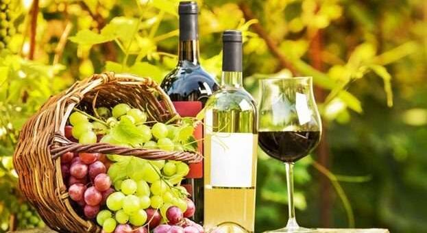 На дерев’яній поверхні стоїть плетений кошик, наповнений свіжим виноградом — зеленим і фіолетовим. Поруч дві пляшки вина: одна з темно-червоним, інша зі світлим напоєм. Біля них — келих із червоним вином. На задньому плані — зелені виноградні лози, освітлені теплим сонячним світлом