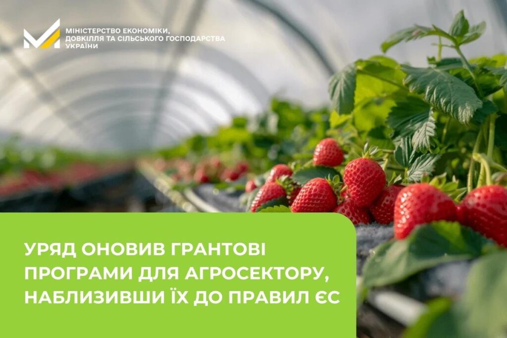 Стигла полуниця росте в теплиці під прозорим дахом; поруч текст про грантові програми для агросектору