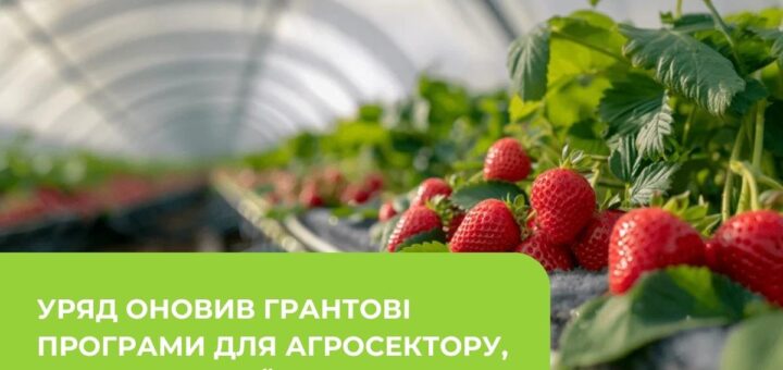Стигла полуниця росте в теплиці під прозорим дахом; поруч текст про грантові програми для агросектору