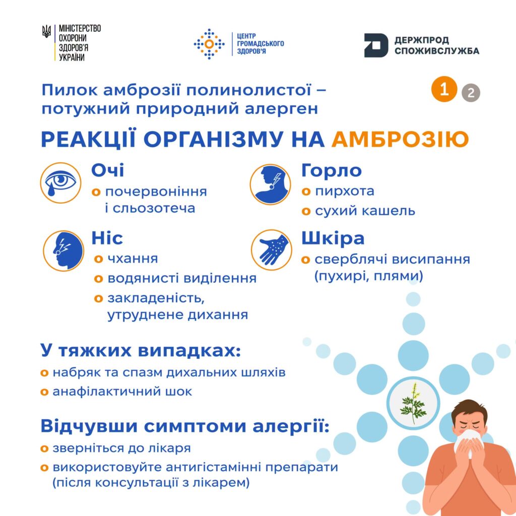 Плакат українською з логотипами МОЗ, Центру громадського здоров’я та Держпродспоживслужби. Текст: «Пилок амброзії полинолистої – потужний природний алерген». Є іконки очей, носа, горла та шкіри з відповідними симптомами: сльозотеча, чхання, кашель, висипання. Унизу — людина чхає та зображення рослини амброзії.