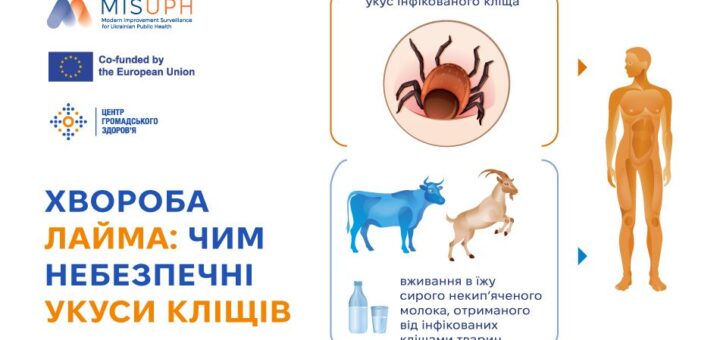Інформаційний постер українською з логотипами МОЗ та партнерів. Заголовок: «Хвороба Лайма: чим небезпечні укуси кліщів». Ліворуч — інфікований кліщ, праворуч — схема зараження людини через укус та через вживання сирого молока від заражених тварин (корова, коза).