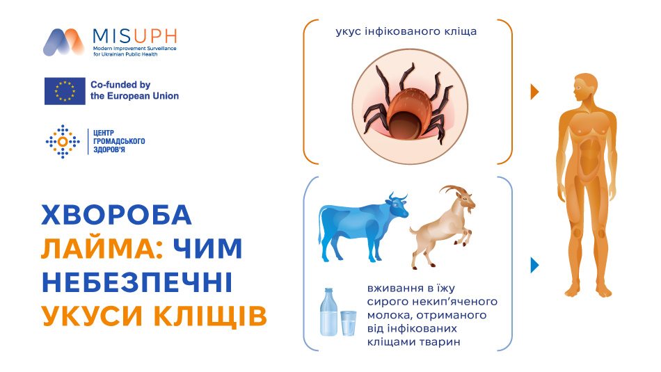 Інформаційний постер українською з логотипами МОЗ та партнерів. Заголовок: «Хвороба Лайма: чим небезпечні укуси кліщів». Ліворуч — інфікований кліщ, праворуч — схема зараження людини через укус та через вживання сирого молока від заражених тварин (корова, коза). 