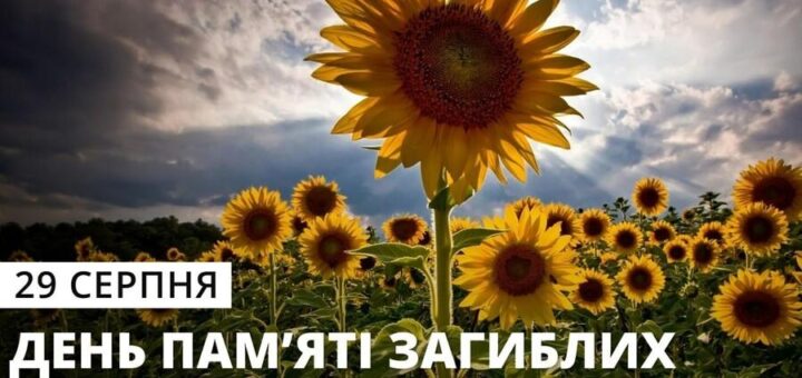 Поле соняшників під хмарним небом, накладений текст: "29 серпня — День пам’яті загиблих захисників України".