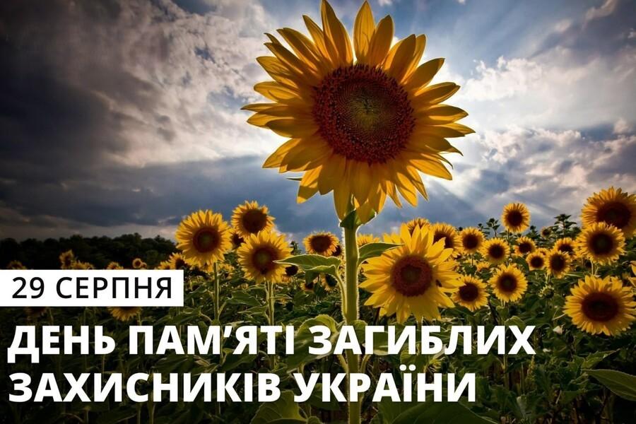 Поле соняшників під хмарним небом, накладений текст: "29 серпня — День пам’яті загиблих захисників України".